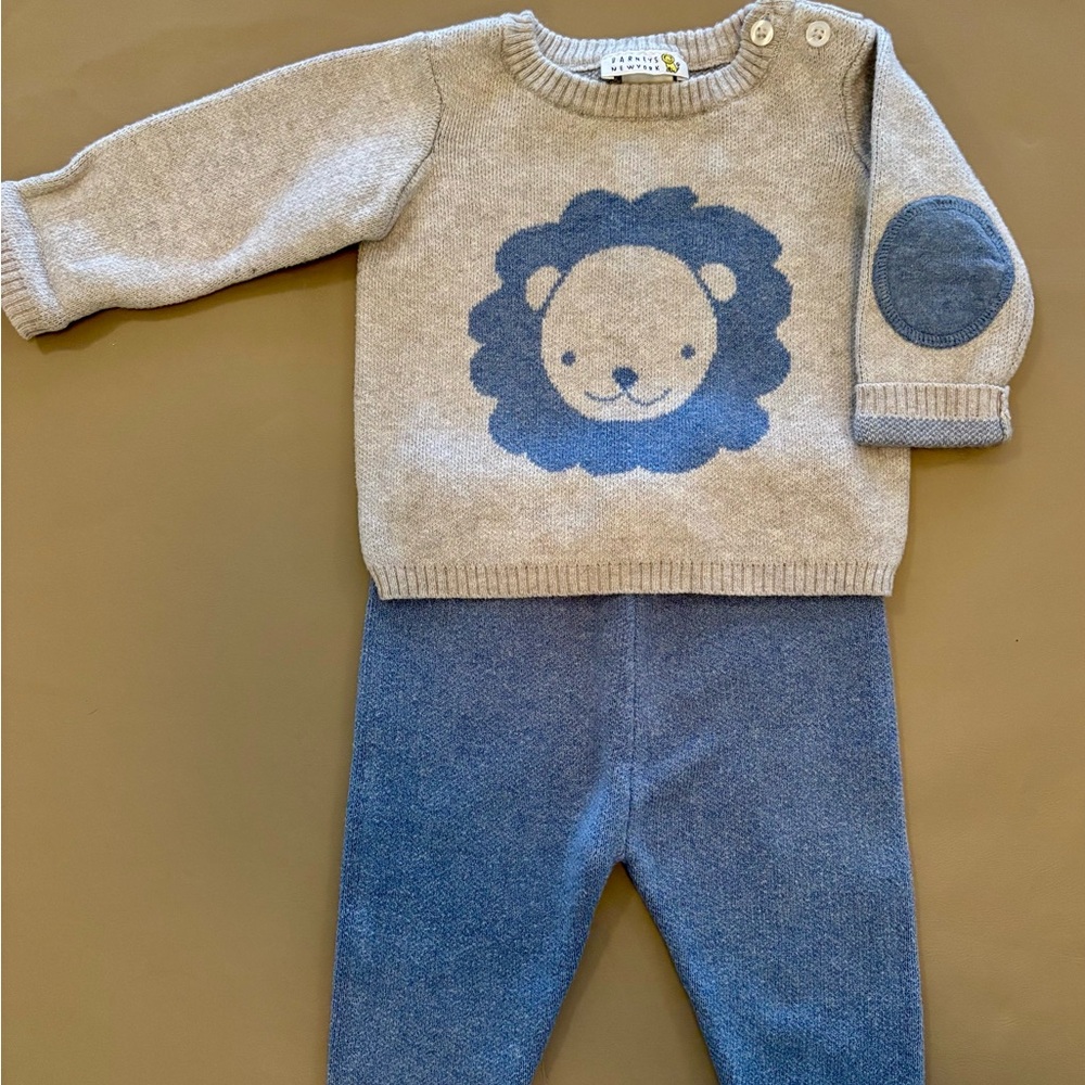 Gray and Blue Lion Sweater Set